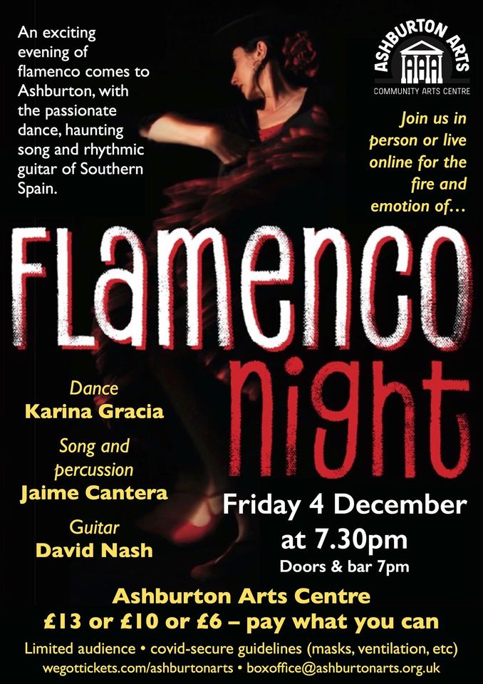 Flamenco Night