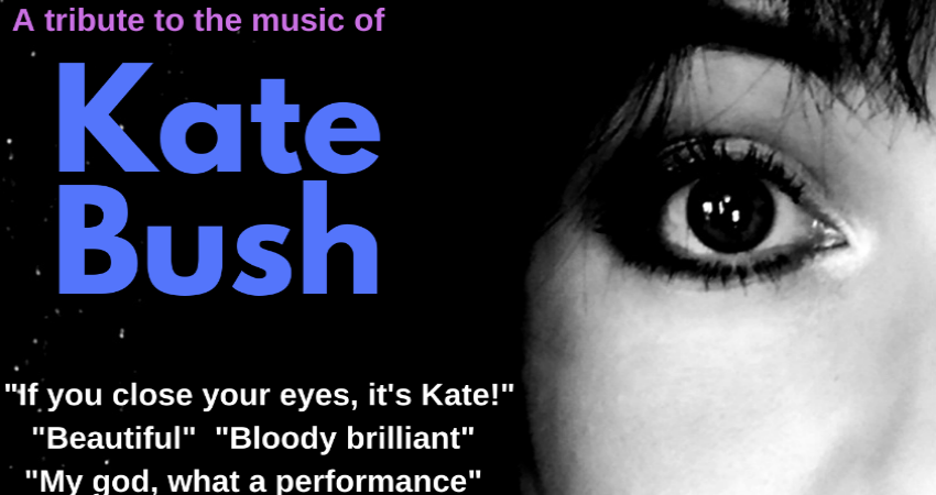Moments of Pleasure: the music of Kate Bush