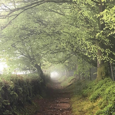 Talk: Ancient Tracks on Dartmoor – Emma Cunis