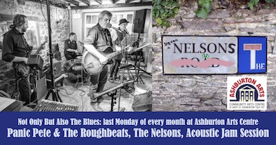 Not Only But Also The Blues: Panic Pete & The Roughbeats, The Nelsons, Acoustic Jam Session