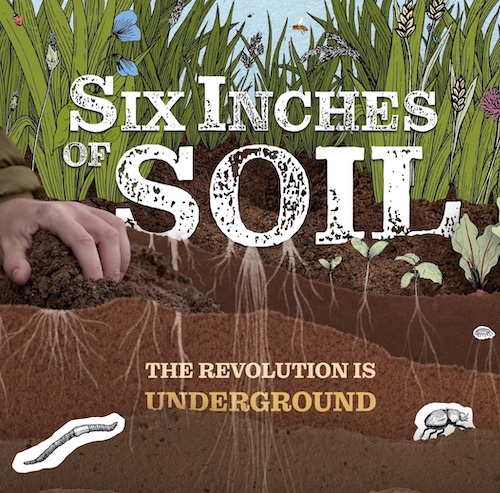 Six inches of soil