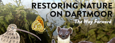 Restoring Nature on Dartmoor – a panel discussion (hosted by Wild Card)