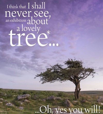 Exhibition: About a Lovely Tree