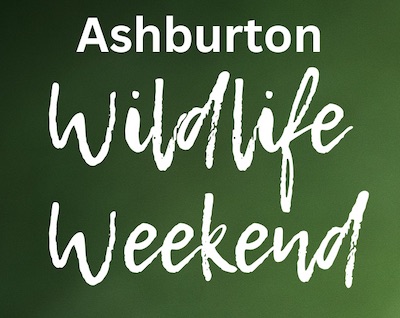 Ashburton Wildlife Weekend 2024