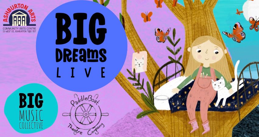 Big Dreams Live: Music Collective and Paddleboat Theatre Company