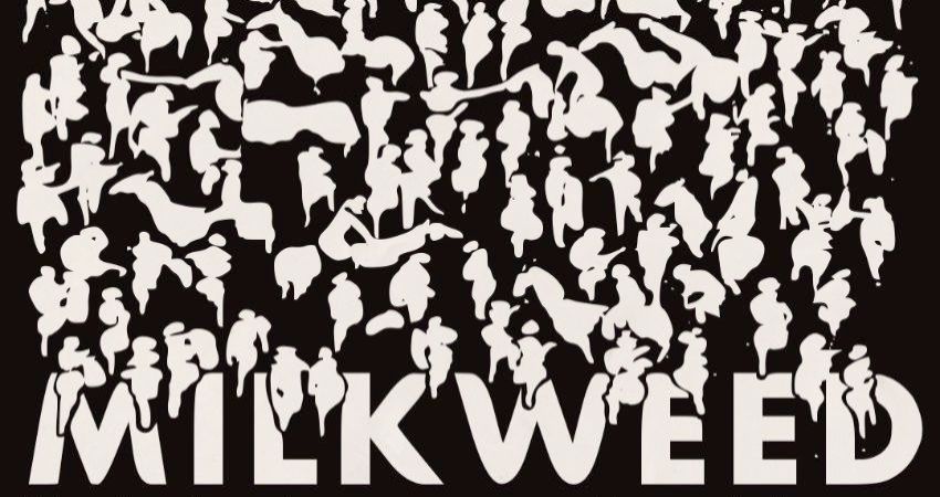 Milkweed