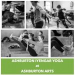 Ashburton Iyengar Yoga with Chris Willis