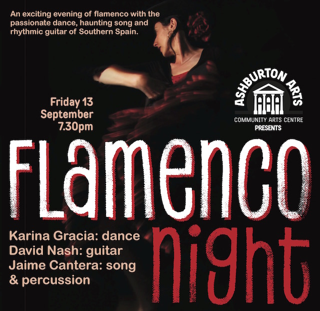 Flamenco Night ~ Noche Flamenca