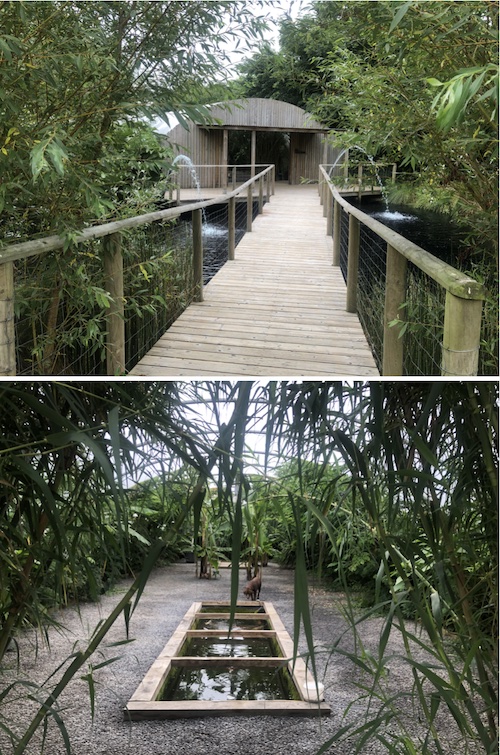 ACMF 2025 Hausmusik # 2: The Plant House, Anràn, Landscove (moved from Bigadon Cottage, Buckfastleigh)